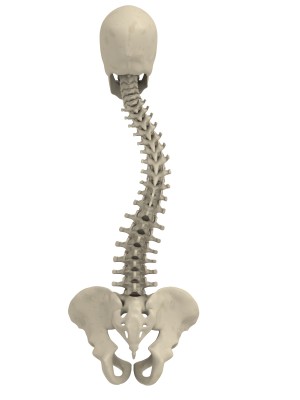 Spine with Scoliosis